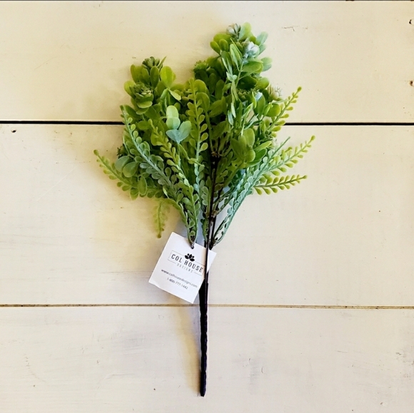 🌻5/$25🌻 Succulent Bush Pick - Picture 2 of 3